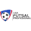 Pro Futsal League